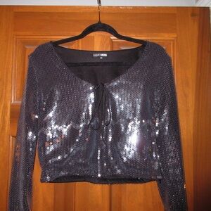 Fashion Nova Shimmering Black Sequin Long Sleeve Crop Top